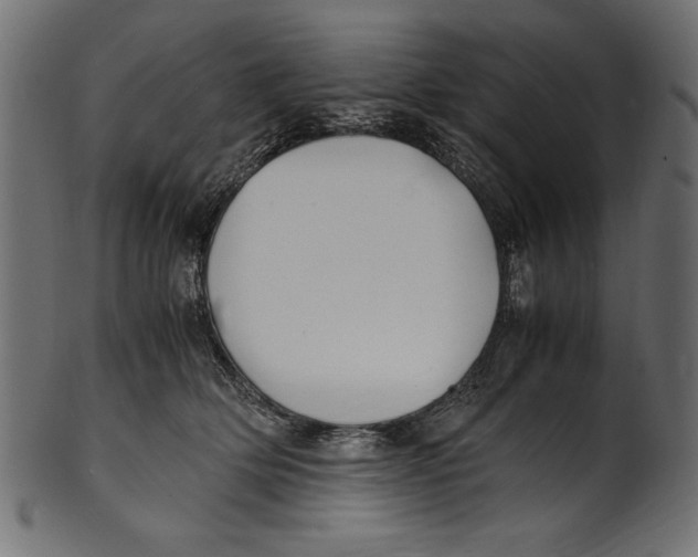 X0000100850514200807181059