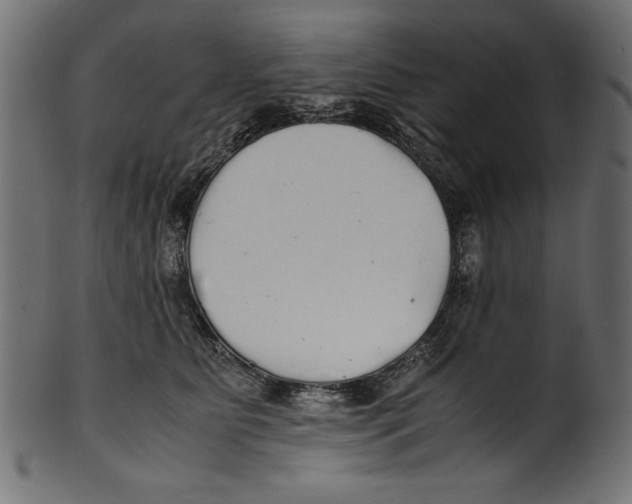 X0000100850515200807181059