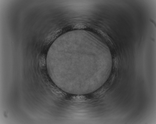 X0000100850517200807181059
