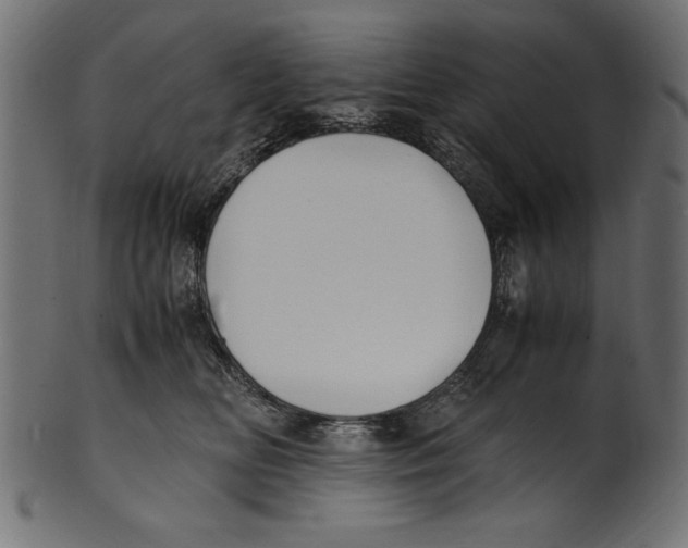 X0000100850518200807181059