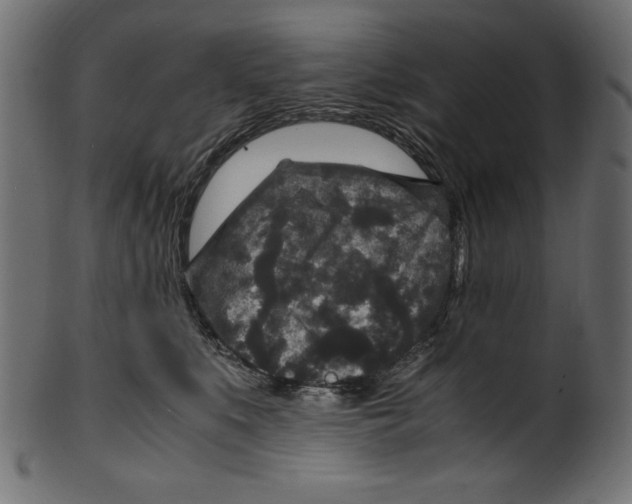 X0000100850519200807181059