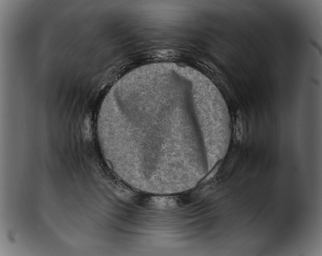 X0000100850520200807181059