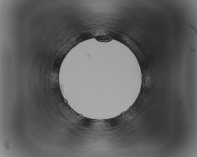 X0000100850521200807181059
