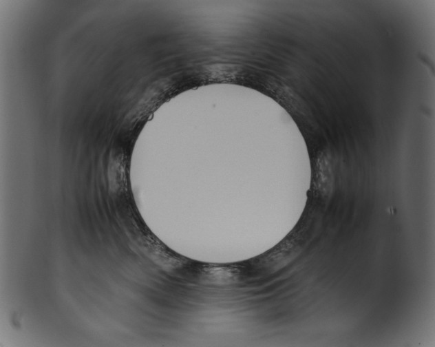 X0000100850522200807181059