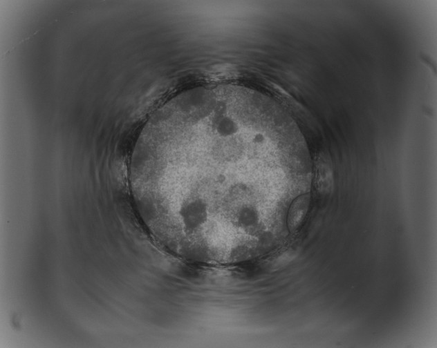 X0000100850523200807181059