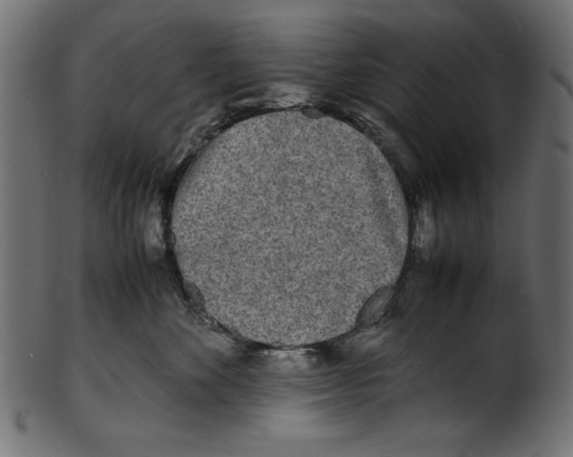 X0000100850524200807181059