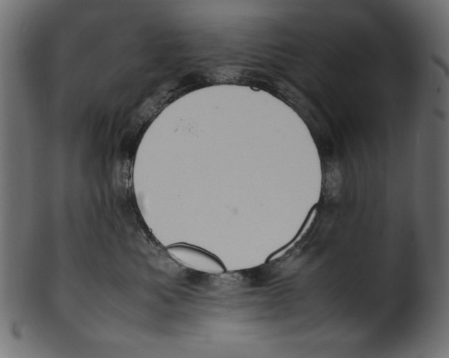 X0000100850525200807181059