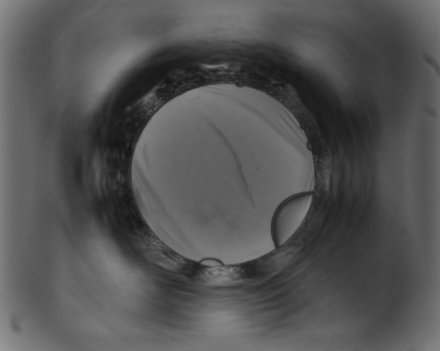 X0000100850526200807181059