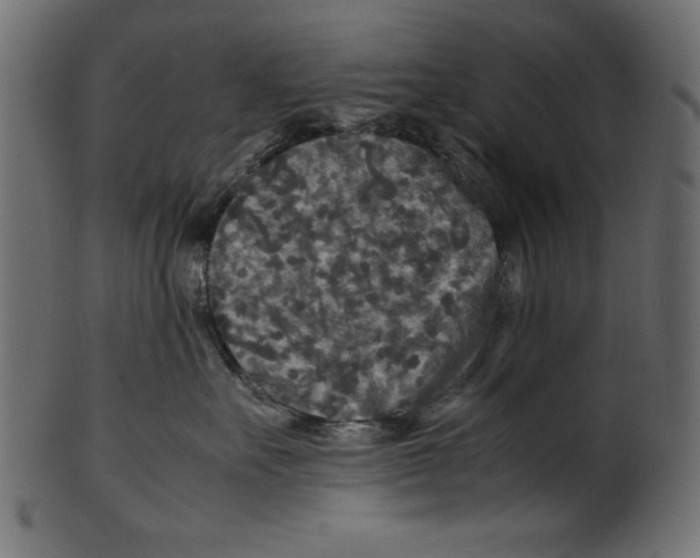 X0000100850527200807181059