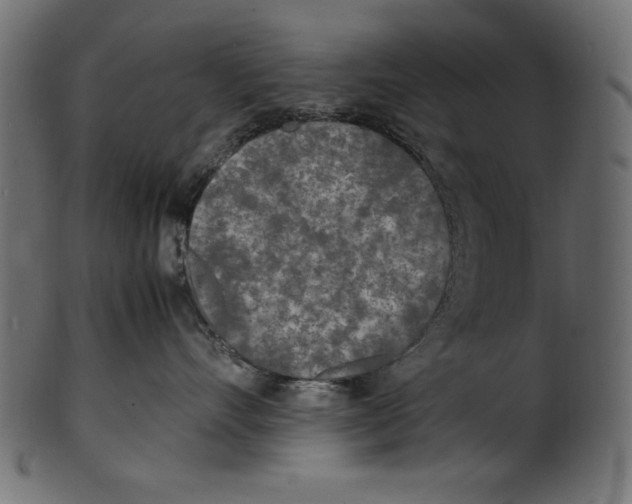 X0000100850528200807181059