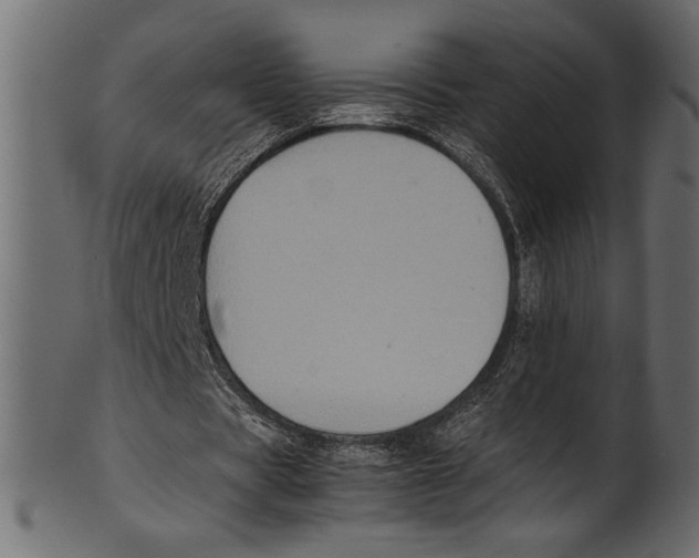 X0000100850529200807181058
