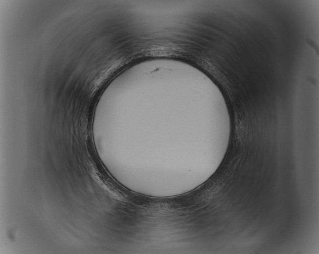 X0000100850530200807181058