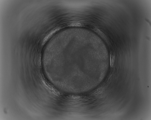 X0000100850531200807181058