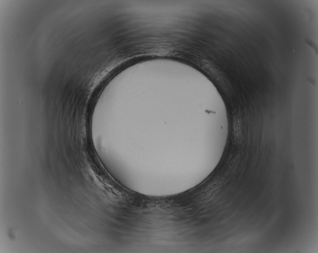 X0000100850532200807181058
