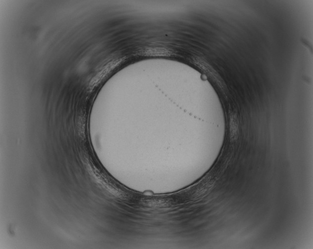 X0000100850533200807181058