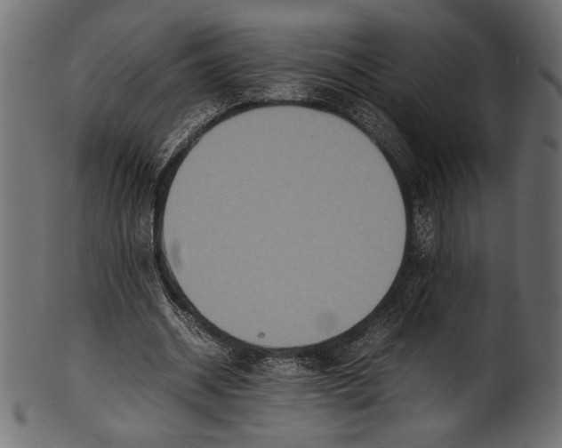 X0000100850534200807181058