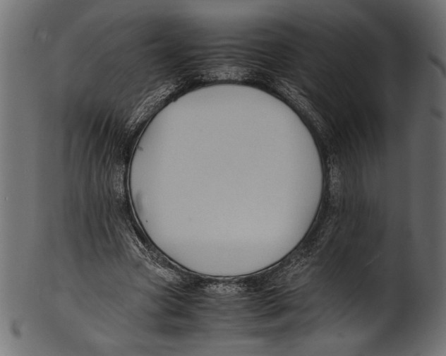 X0000100850537200807181058