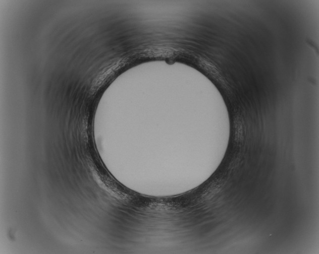 X0000100850538200807181058