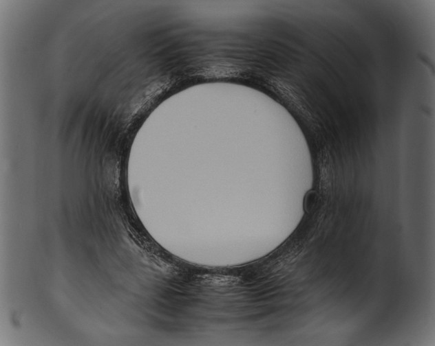 X0000100850539200807181058