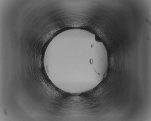 X0000100850540200807181058