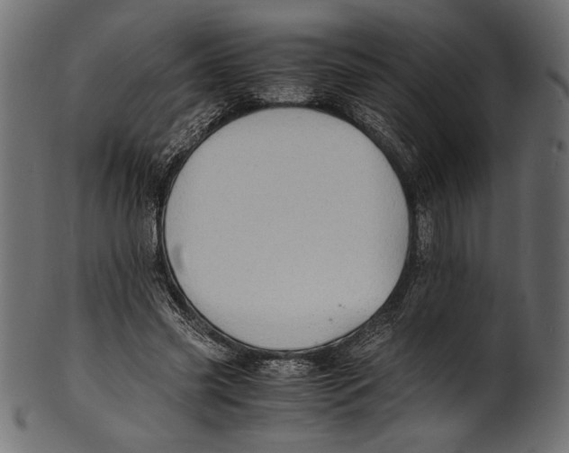 X0000100850541200807181058