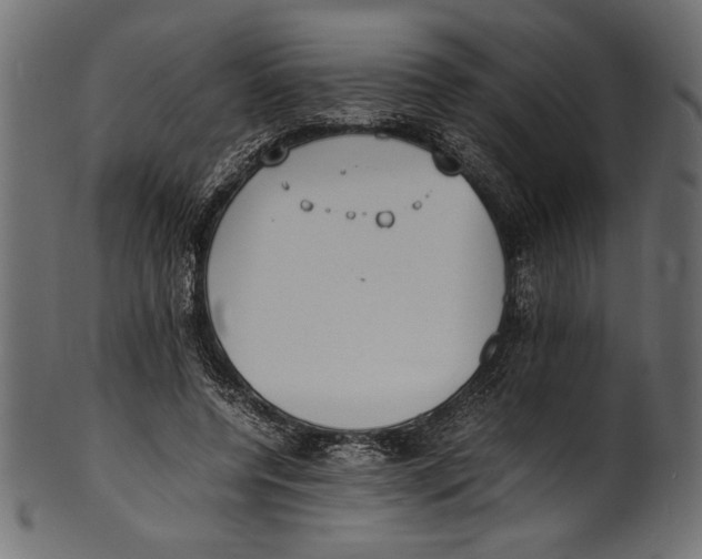 X0000100850544200807181059