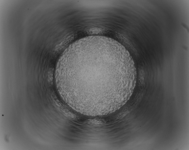 X0000100850545200807181059