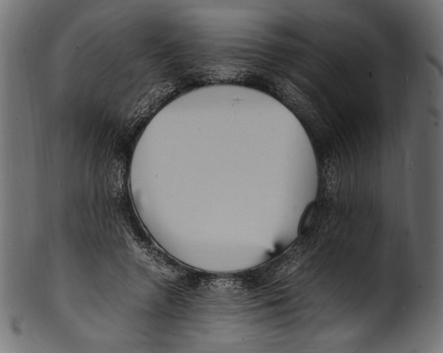 X0000100850546200807181059