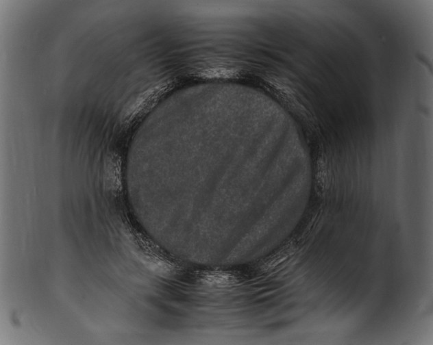 X0000100850547200807181059