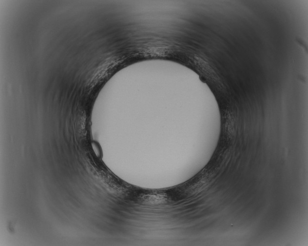 X0000100850548200807181059