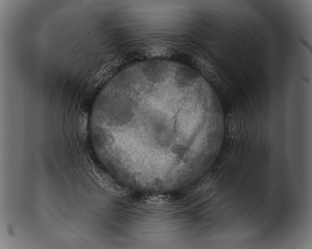 X0000100850550200807181059