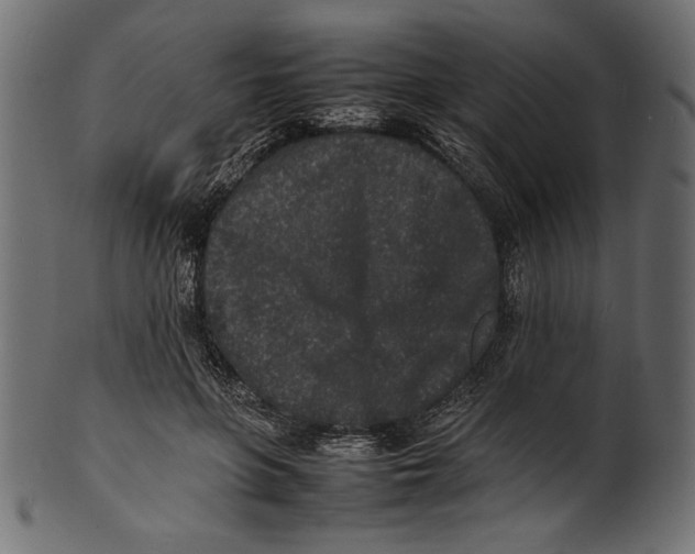 X0000100850551200807181059