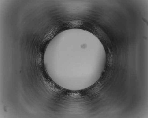 X0000100850552200807181059