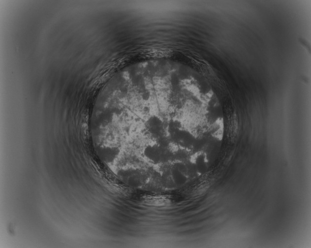 X0000100850553200807181059