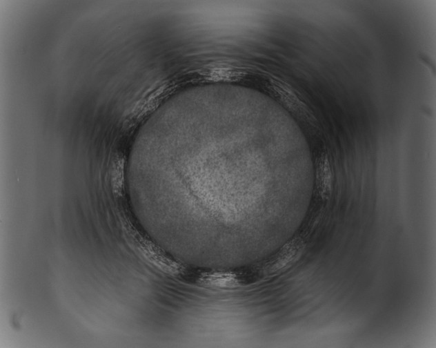 X0000100850554200807181059