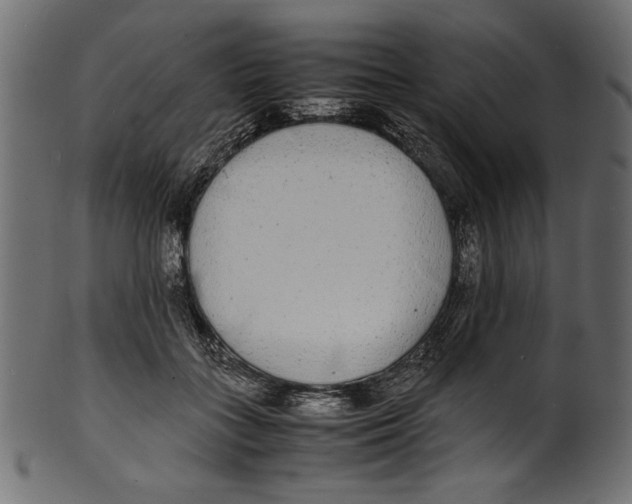 X0000100850555200807181059