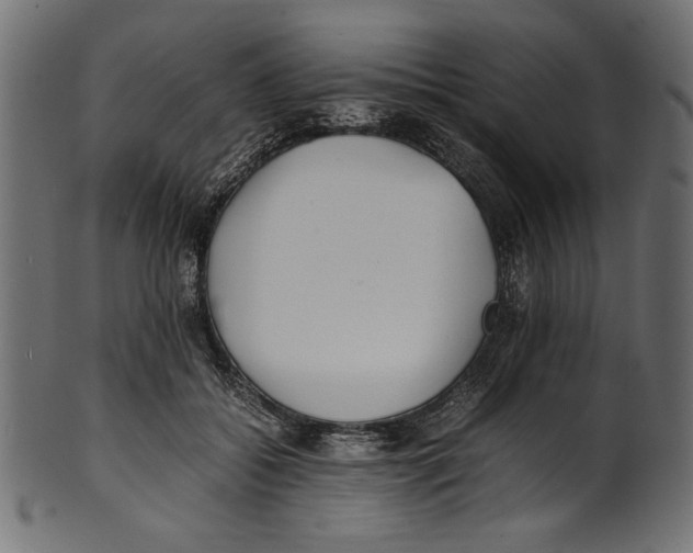 X0000100850556200807181059