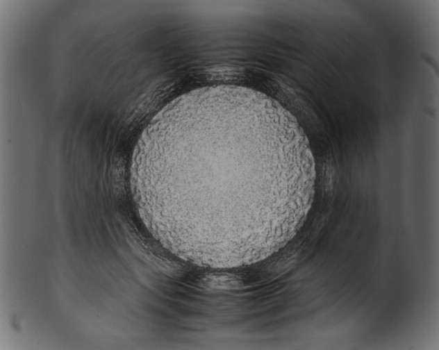 X0000100850557200807181059