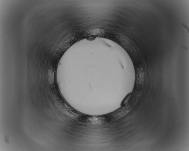 X0000100850558200807181059