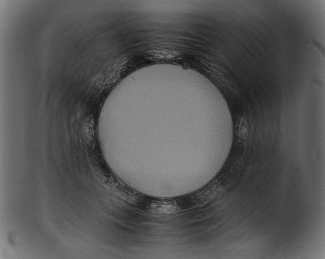 X0000100850559200807181059