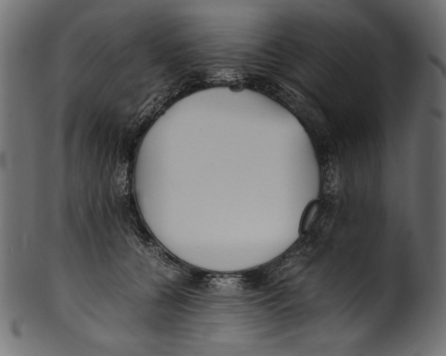 X0000100850560200807181059
