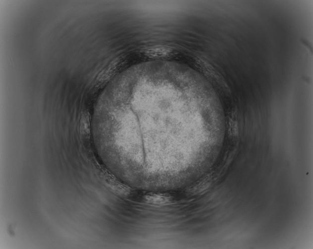 X0000100850561200807181059