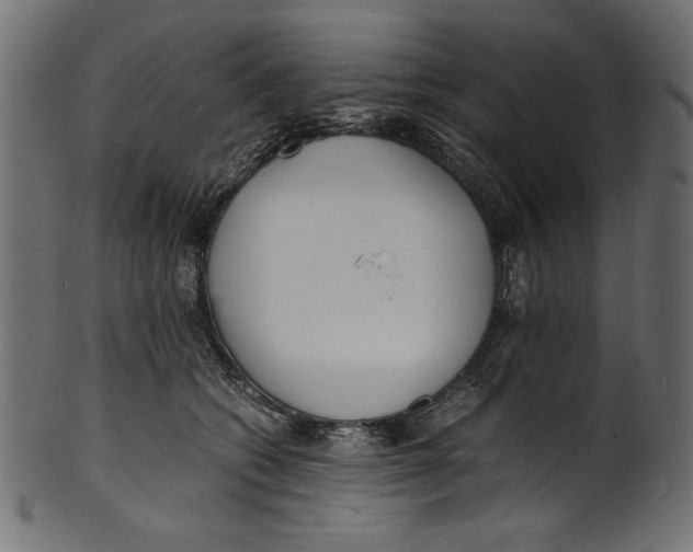 X0000100850562200807181059