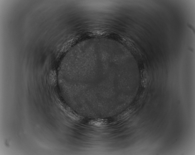 X0000100850563200807181059