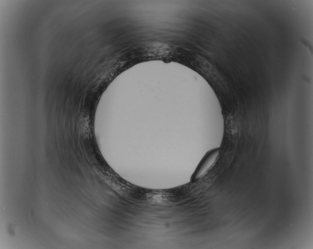 X0000100850564200807181059