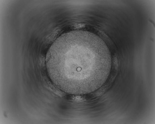 X0000100850565200807181059