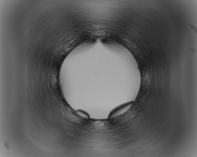 X0000100850566200807181059