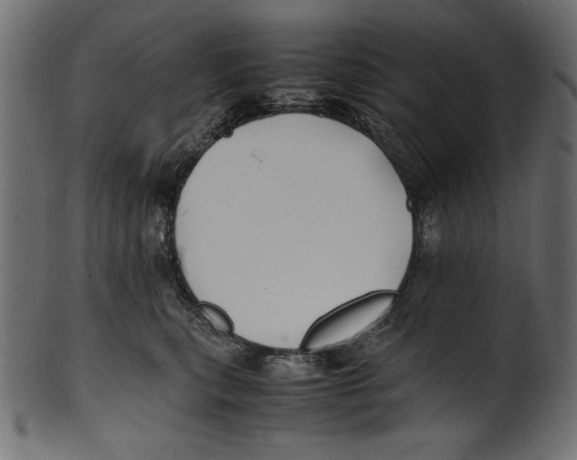 X0000100850567200807181059