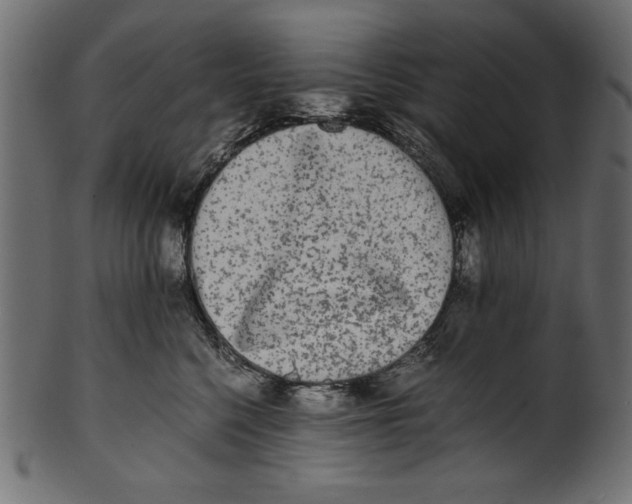 X0000100850568200807181059