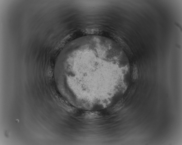 X0000100850569200807181059